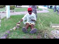 Lee "Scratch" Perry + Subatomic Sound System | Super Ape Returns To Conquer New Ark Subatomic Energy