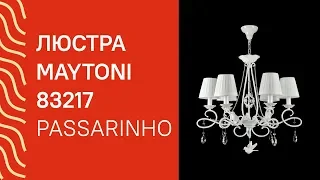 YouTube video preview S-k02wgAdT4