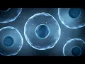 Cell nucleus: functions, structure and characteristics