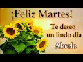 Frases de Buenos dias Feliz Martes con este lindo imagenes de buenos dias para ti