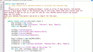 Lab 11 Part 7 VetClinic stop abusing static