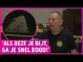 Download Lagu Giftige slangen en hagedissen massaal gedumpt: 'Vol is vol!'