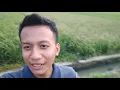 Download Lagu Pak bambang oradodol!!