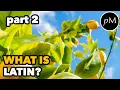 Download Lagu What is Latin? CONTINUED: New Latin Vocabulary, Word Choice, Synonyms | Latin Language | Neo Latin