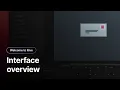 Rive interface overview