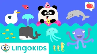 Download SEA ANIMALS for Kids 🌊🐳 VOCABULARY, SONGS and GAMES | Lingokids MP3