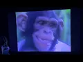 Download Lagu Kidsongs: A Day With The Animals 1986 VHS