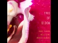Nightwhistlers (feat. Nels Cline, Craig Taborn & Marcus Gilmore) - Trio of Bloom