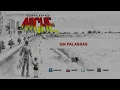 Sin Palabras, Un Alto En El Camino, Grupo Niche - Audio