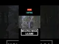 Download Lagu Melepas masa lajang #shorts #short