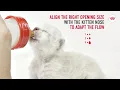 How to use Royal Canin s Baby Cat Milk