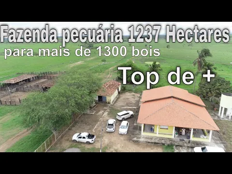 Download MP3 Fazenda pecuária 1.237 Hectares a venda. Ótima opção