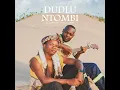 Dj Cymphonic - Dudlu Ntombi (Audio) feat Dolphin