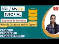 1 - What is Data Database DBMS and Types of Database Fundamentals of Database