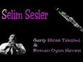 Selim Sesler - Garip Hicaz Klarnet Taksimi & Roman Oyun havası ☆彡