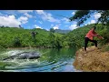 Download Lagu Fishing Skills - Single Mom Uses Traditional Fishing Techniques to Catch Giant Catfish