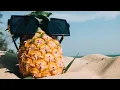 Download Lagu Tropical Island Beach Music | Island Reggae Music | Upbeat Tropics