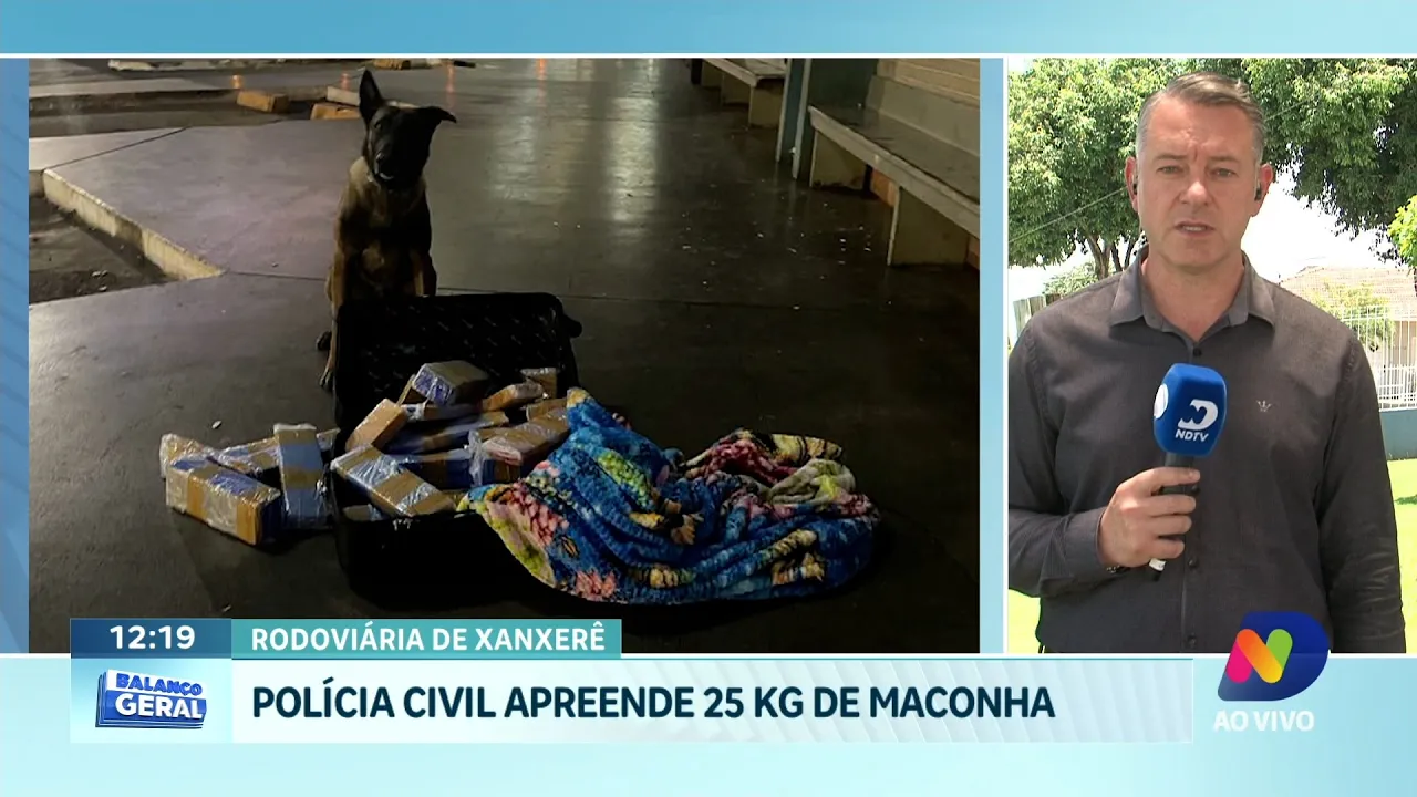 Operação da Polícia Civil Resulta na Apreensão de 25 Kg de Maconha em Xanxerê