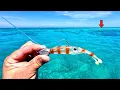Fishing Australia s FAMOUS Great Barrier Reef for the Most EXOTIC Fish in the World