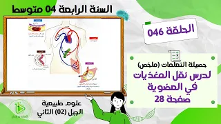 حصيلة التعلمات ملخص لدرس نقل المغذيات في العضوية صفحة 28 علوم طبيعية سنة 04 متوسط 