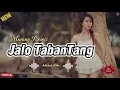 Download Lagu Lagu Joget - Jalo Tabantang Pukek Mahadang - Minang Remix 2025🔰 || AkbarLaOde