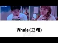 AKMU 악동뮤지션 - 'Whale 고래' LYRICS (Color Coded ENG/ROM/HAN)