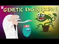 GENETIC ENGINEERING What Is GENETIC Engineering Genetics The Dr Binocs Show Peekaboo Kidz