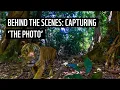 Download Lagu Behind The Scenes: Photographing Tigers in Malaysia's Royal Belum State Park | WWF-Australia