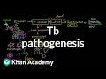 TB pathogenesis Infectious diseases NCLEX-RN Khan Academy