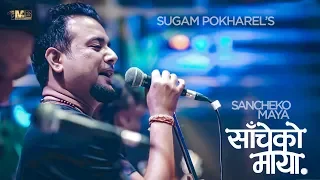 sugam pokharel 1mb saacheko maya official lyrical music video