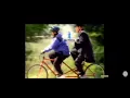 Ask Jeeves UK TV Commercial