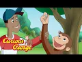 Download Lagu George's Worm Winner!  🐵 Curious George 🐵 Kids Cartoon 🐵 Kids Movies