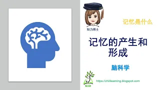 知力页 记忆的产生和形成 脑科学的最新研究发现 大脑具有备份的功能 通过了解记忆的产生和形成 可以找到日常生活中 有利于识记和便于再认的方法 以及为什么小孩子不可以在考试前 临时抱佛脚 的原因  知力页 记忆的产生和形成 脑科学的最新研究发现 大脑具有备份的功能 通过了解记忆的产生和形成 可以找到日常生活中 有利于识记和便于再认的方法 以及为什么小孩子不可以在考试前 临时抱佛脚 的原因
