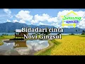 Bidadari cinta MP3 - Novi gingsul