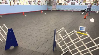                              دندنها