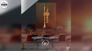 king saiman deejay zebra sa u0026 pro tee trumpet string