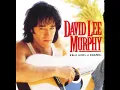 David lee Murphy Dust on the bottle