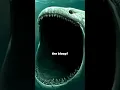 Download Lagu Ocean mysteries