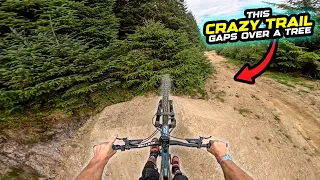 THIS MTB GADGET WILL 100% MAKE YOU JUMP FARTHER - BOSCH TRICK CHECK!
