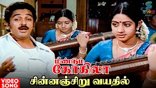 chinna chiru vayathil video song meendum kokila movie kamal haasan sridevi ilaiyaraaja