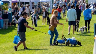 Celebrate Paws in the Park this weekend!