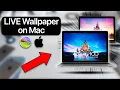 How to set Live Wallpaper on Mac in 2026