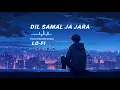 Lagu DIL SAMAL JA-JARA (Slowed+Reverb) Lo-fi song #phonk #sadsong #newsong #arijitsingh 