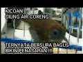 SUARA BURUNG CIUNG AIR CORENG