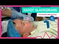 Download Lagu DAAN KRIJGT EEN C.I. - TOPDOKS