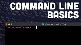 Command Line Basics for Web Developers Terminal Git Bash