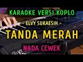 TANDA MERAH ~ ELVY SUKAESIH || KARAOKE NADA CEWEK || VERSI KOPLO