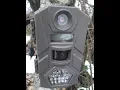 Shopping walmart tasco trail cameras game camera
