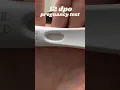 12 DPO Pregnancy Test