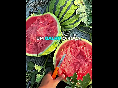 Este pepino parece uma fruta inofensiva da natureza 🥒